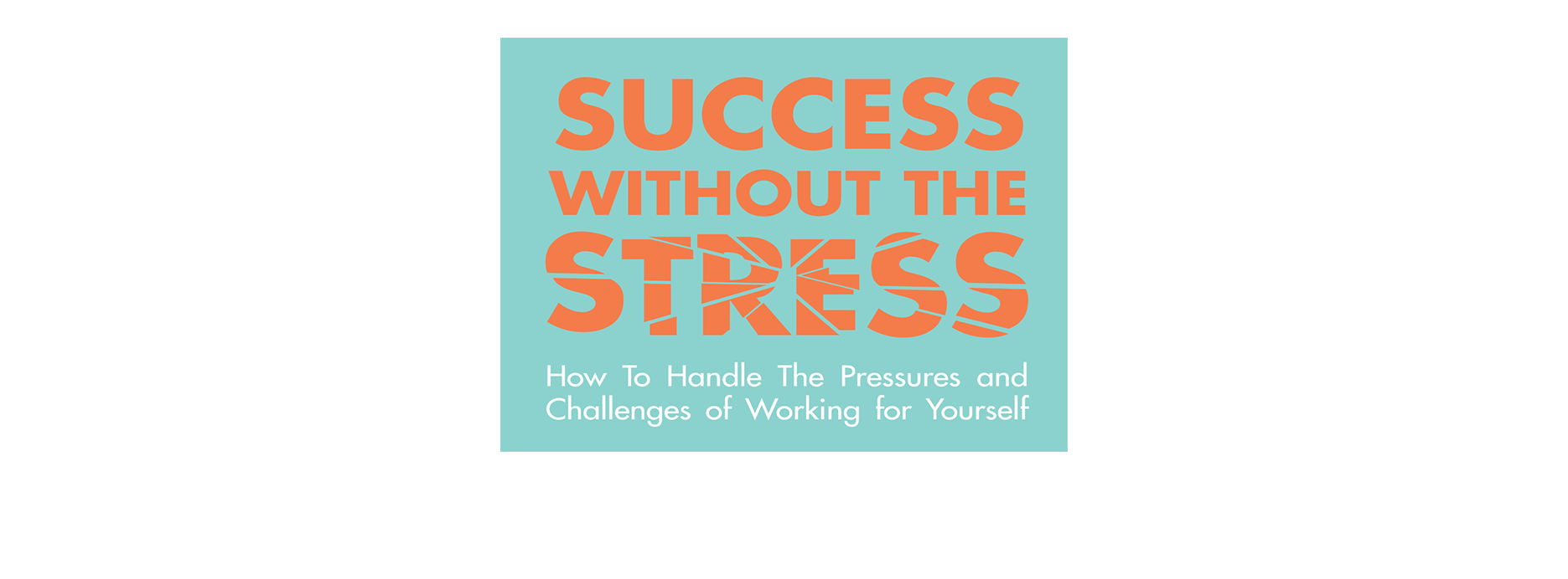 Success Without the Stress A GameChanging Business Book