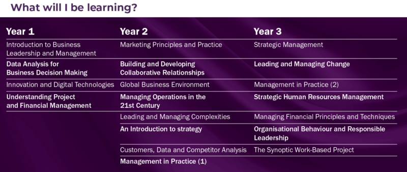 Purple background with text What Will I be Learning and information of a course over three years