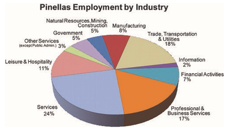 Pie chart in colours showing information about Pinellas, Florida