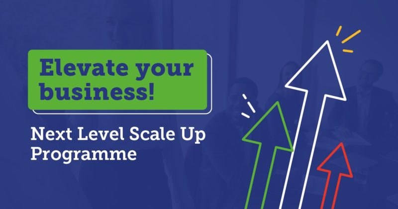 Blue background with arrow illustrations in white, green and red, with green box and text "Elevate your business" and white text "Next Level Scale Up Programme"